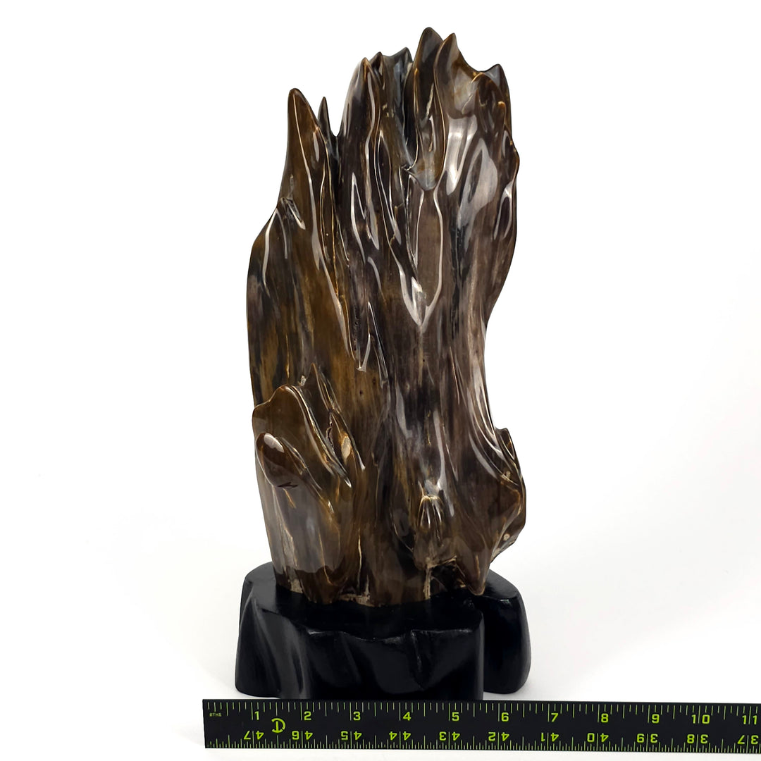 Petrified Wood With Base Large 11 Lbs Polished Fossilized Stone Home Decor Mineral Crystal