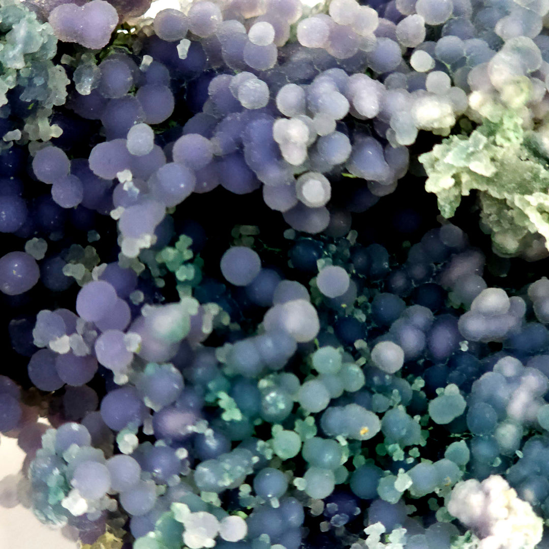 Grape Agate Cluster Blue Green Purple Chalcedony Natural Raw Botryoidal Crystal