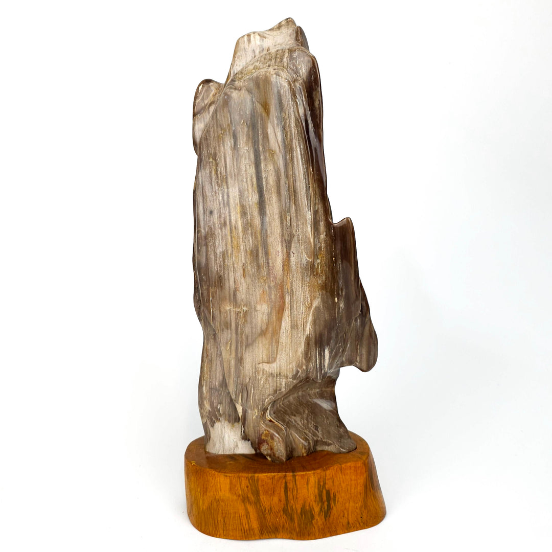 Petrified Wood Stone Decor! Natural Fossilized Wood Crystal, Large Fossil Wood Mineral Specimen!