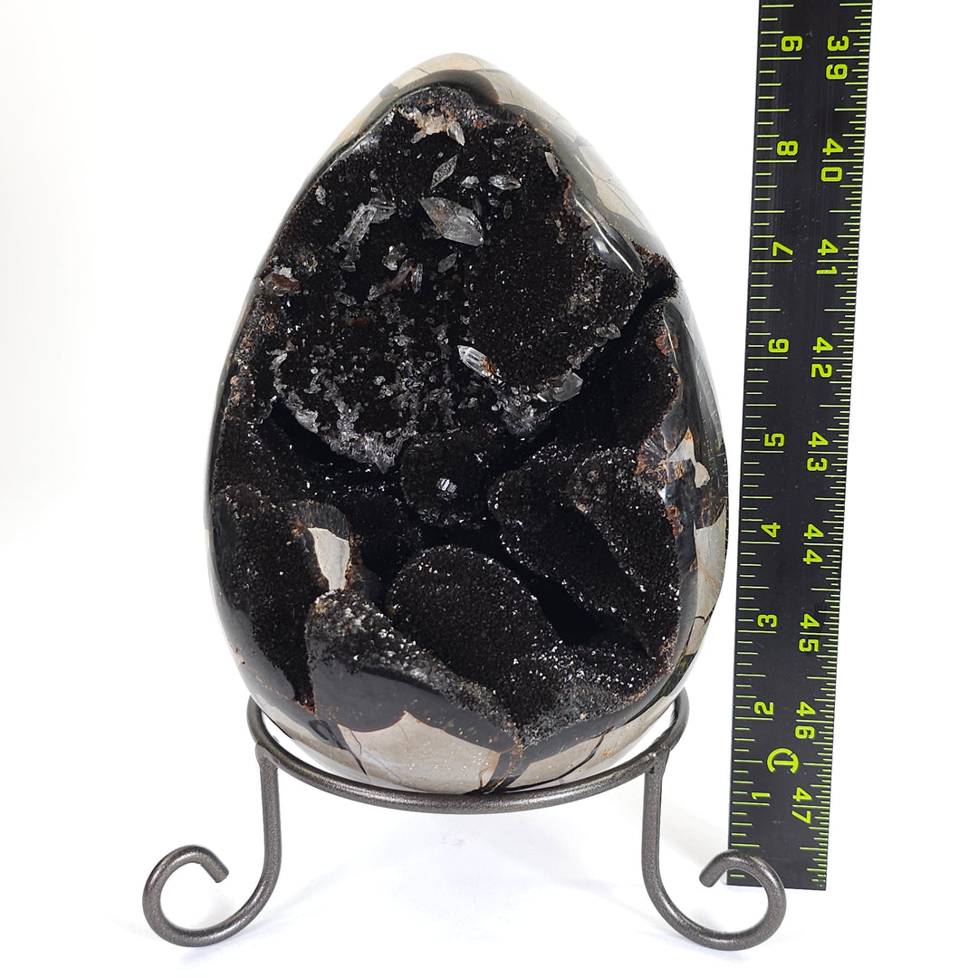 Septarian Egg Large Dragon Stone Crystal! Natural Black Septaria Nodule Mineral!