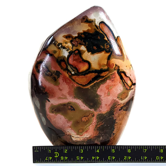 Polychrome Jasper Large 19 Lbs Polished Rainbow Desert Jasper Garden Stone