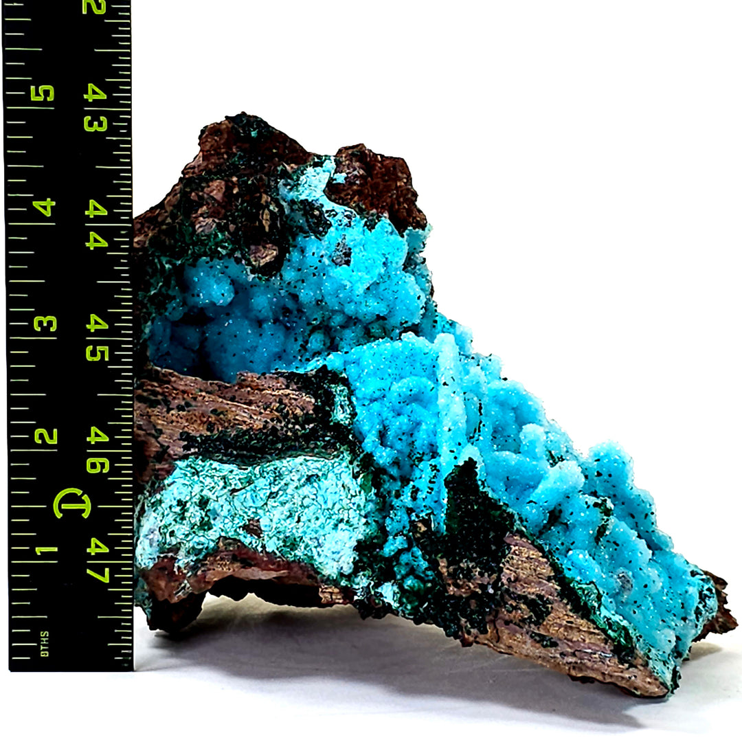 Chrysocolla Pseudomorph After Malachite, Druzy Quartz Crystal Stalactites, Large 2.4 Lbs Tenke Fungurume Congo