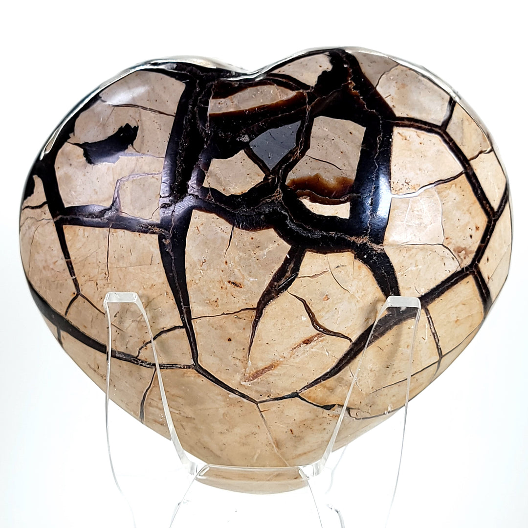 Septarian Heart Crystal Large 7" Dragon Stone Geode, Natural Black Septaria Nodule Heart!