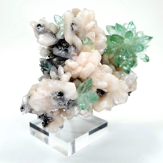 Green Apophyllite Fluorapophyllite Flower & Peach Stilbite, Rare Crystal Cluster Mineral Specimen