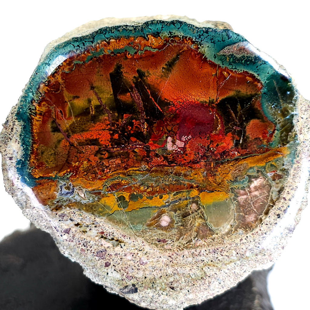 Indonesian natural cheapest blue opalized petrified wood copper