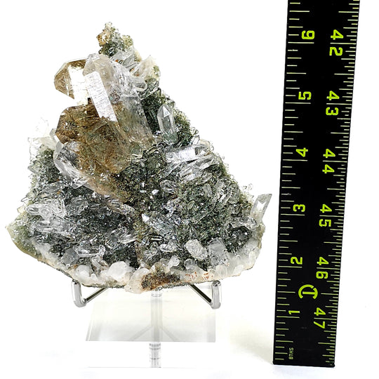 Gold Rutilated Himalayan Quartz Crystal Cluster, Green Chlorite Skeletal Quartz Floater Mineral Specimen