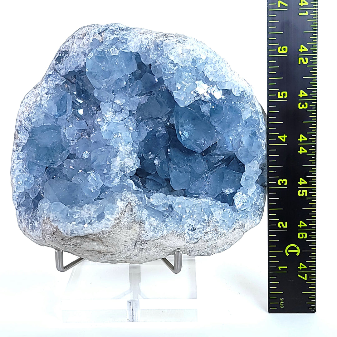 Celestite Crystal Cluster Geode Large 5.9 Lbs Heavenly Blue Celestine Gem