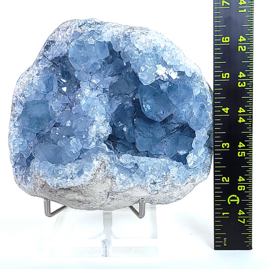 Celestite Crystal Cluster Geode Large 5.9 Lbs Heavenly Blue Celestine Gem