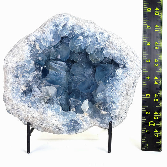 Celestine Geode Extra Large 12 Lbs! Heavenly Blue Celestite, Crystal Cluster Gemstone!