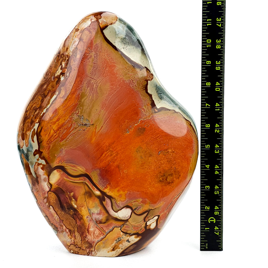 Polychrome Jasper Large 22 Lbs! Polished Red Rainbow Desert Jasper Garden Stone!