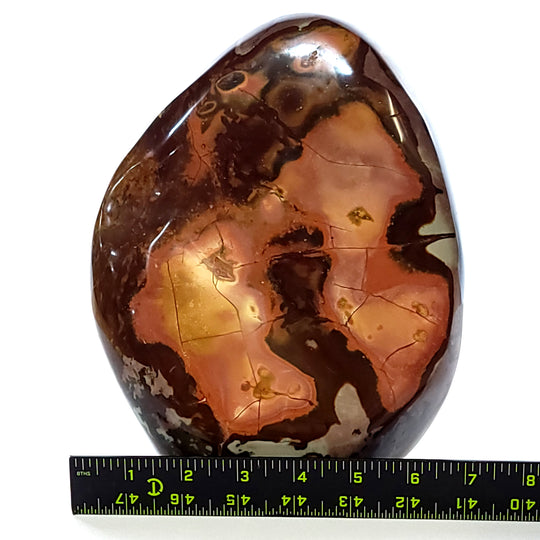 Polychrome Jasper Freeform Large 11 Lbs Rainbow Desert Jasper Crystal