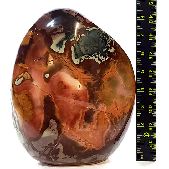 Polychrome Jasper Freeform Large 11 Lbs Rainbow Desert Jasper Crystal