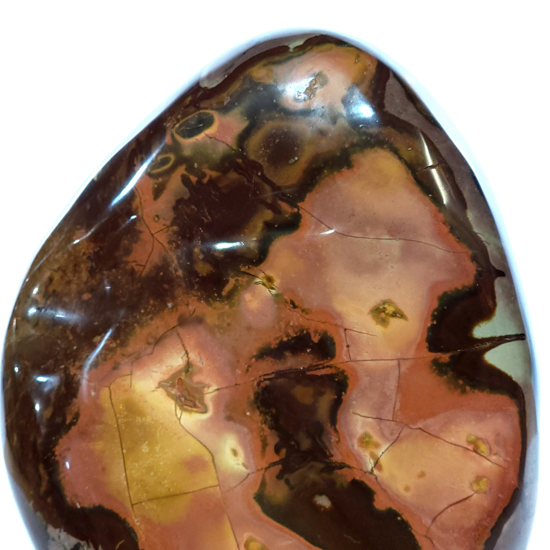 Polychrome Jasper Freeform Large 11 Lbs Rainbow Desert Jasper Crystal