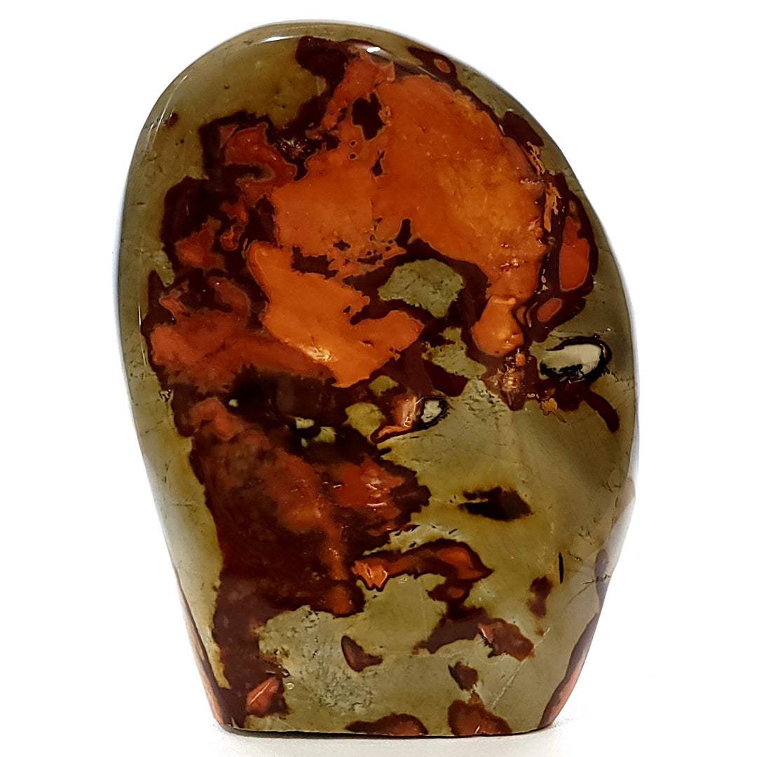 Polychrome Jasper Large 16 Lbs Polished Rainbow Desert Jasper Garden Stone