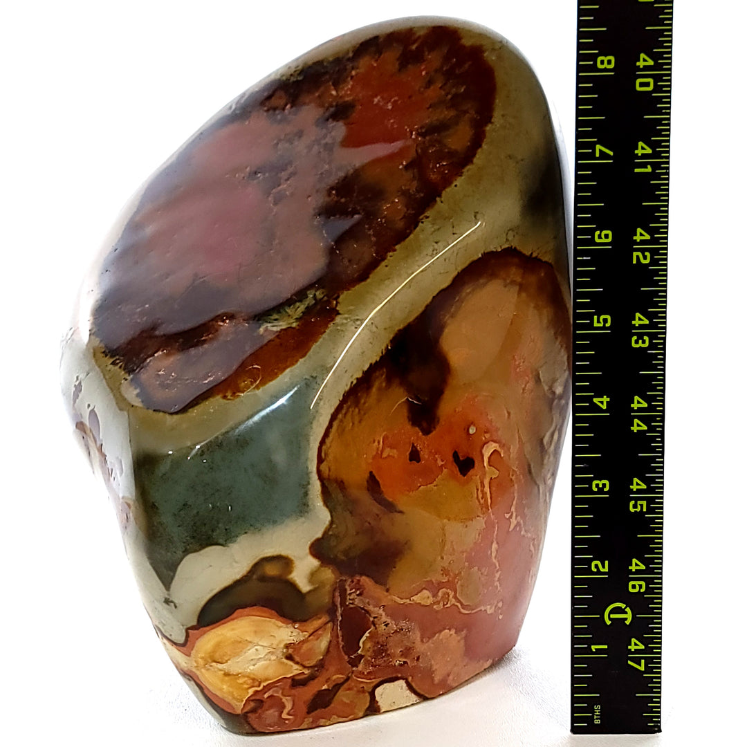 Polychrome Jasper Large 16 Lbs Polished Rainbow Desert Jasper Garden Stone