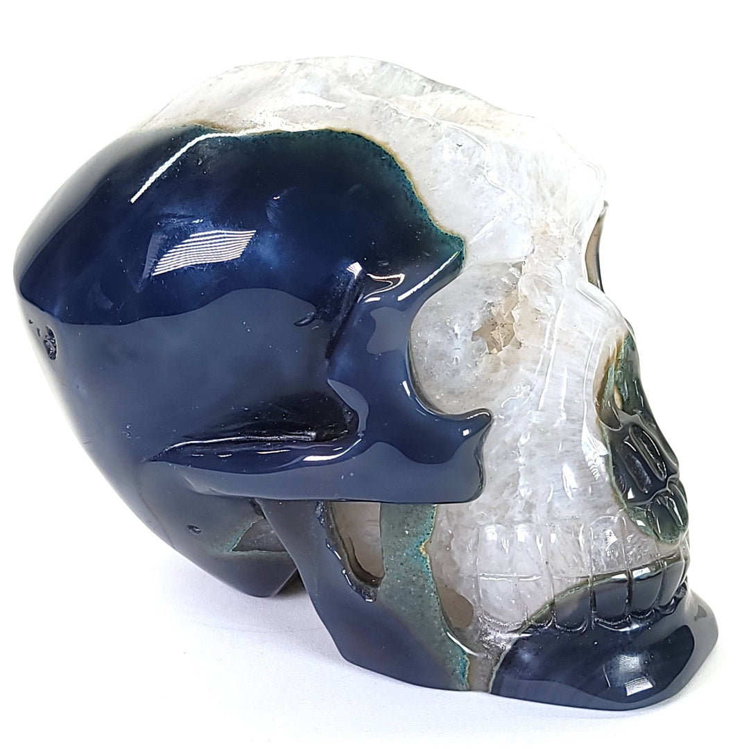 Blue Agate & Quartz Crystal Skull, Large 7 Lbs! Dia De Los Muertos Gothic Skull Decor, Gemstone Crystal Skull! - Earth Perfection