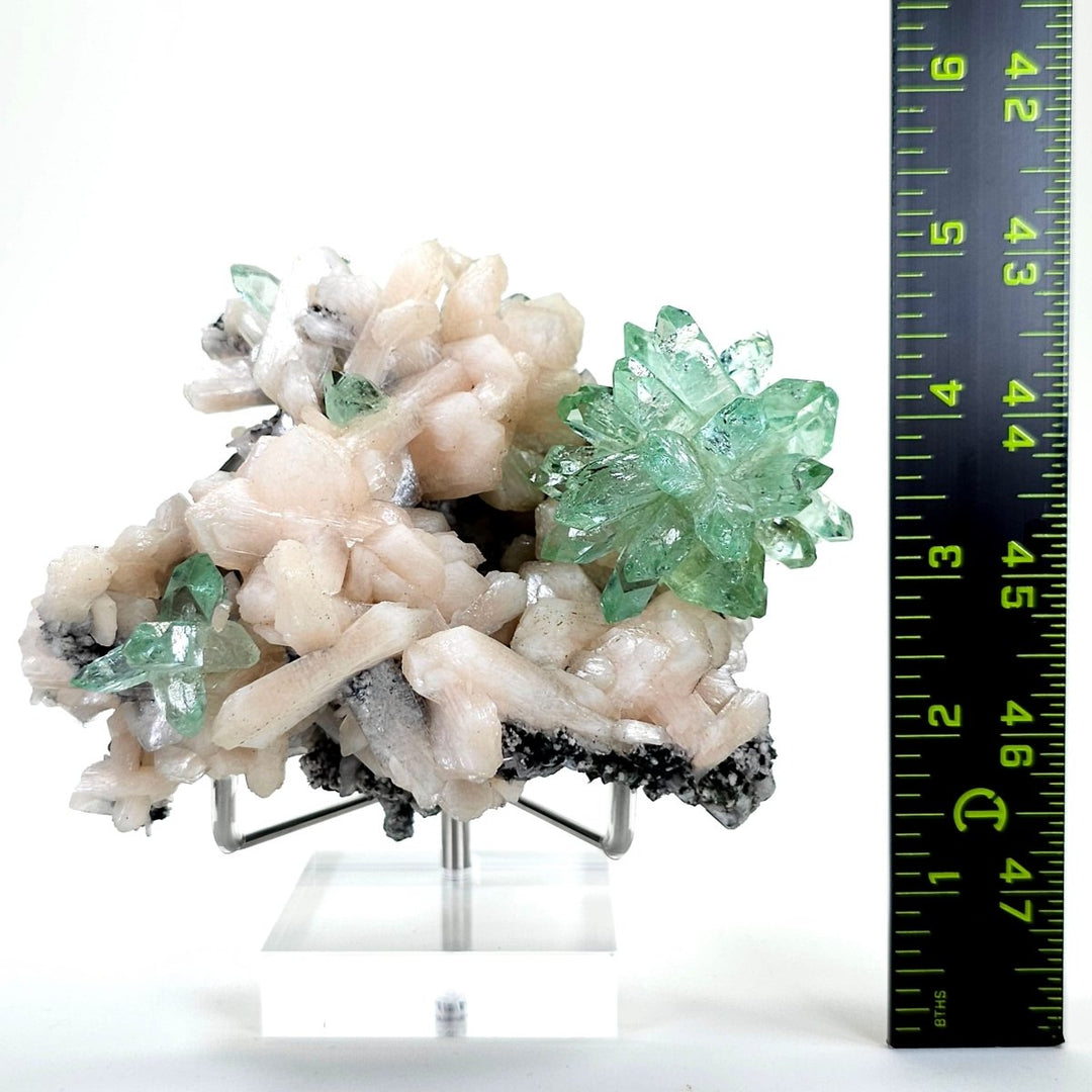 Green Apophyllite Fluorapophyllite Flower & Peach Stilbite, Rare Crystal Cluster Mineral Specimen - Earth Perfection