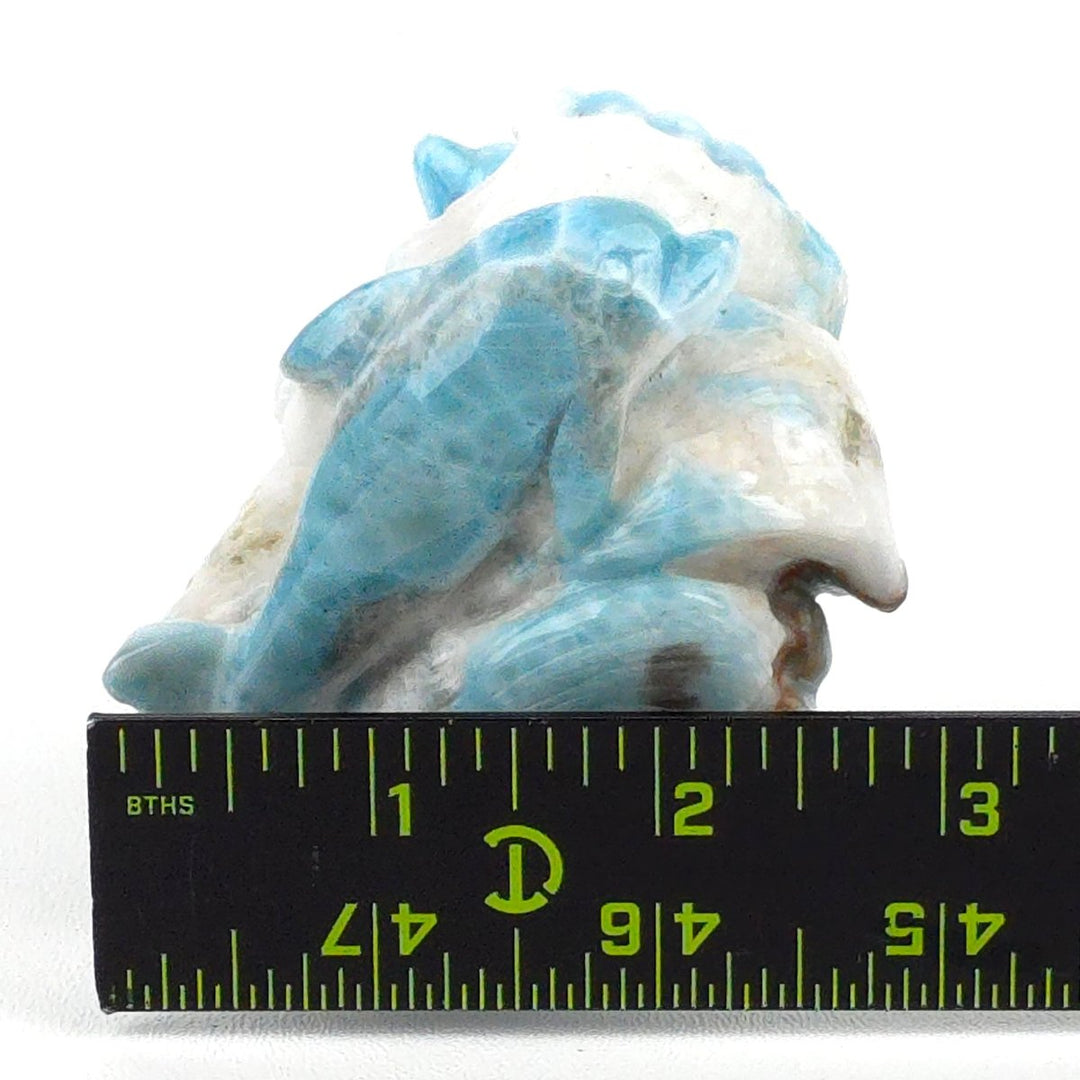 Larimar Dolphin Carving, Blue Atlantis Stone, Crystal Sculpture - Earth Perfection