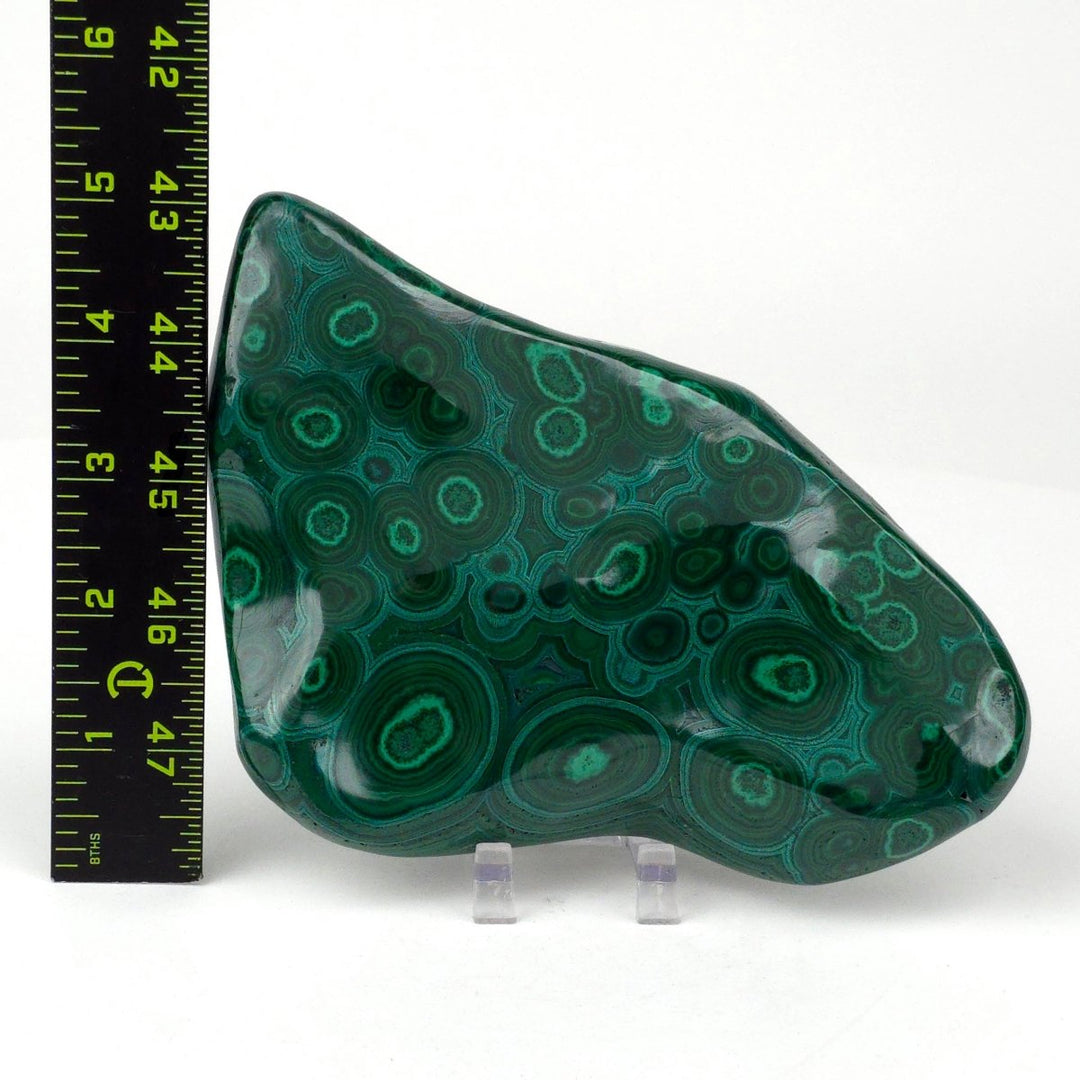 Malachite Stone & Chrysocolla, Large 6" Green Gemstone Polished Slab - Earth Perfection