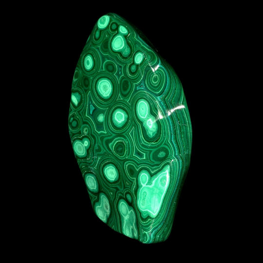Malachite Stone Large 6" Collector African Polished Crystal Slab Freeform - Earth Perfection