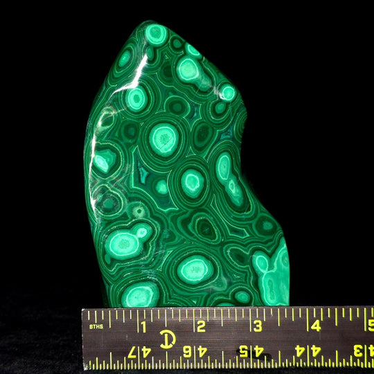 Malachite Stone Large 6" Collector African Polished Crystal Slab Freeform - Earth Perfection