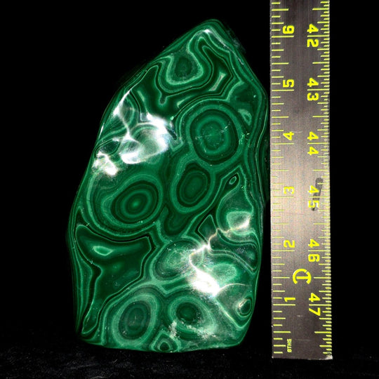 Malachite Stone Large 6" Collector African Polished Crystal Slab Freeform - Earth Perfection