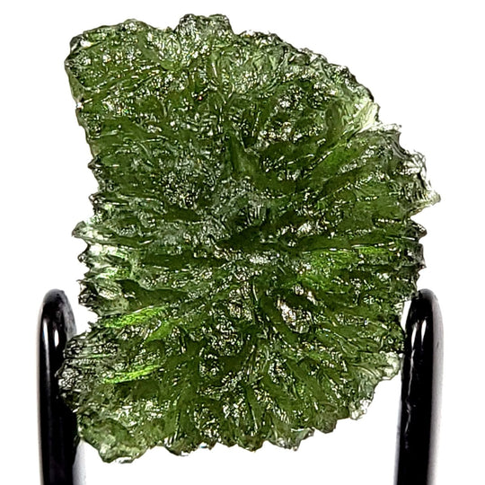 Moldavite Healing Crystal Large 5.6 G Genuine Raw Tektite Museum Quality Space Gemstone - Earth Perfection