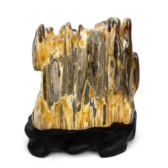 Petrified Wood Log With Red Jasper Large 10 Lbs Polished Fossilized Wood Stone - Earth Perfection