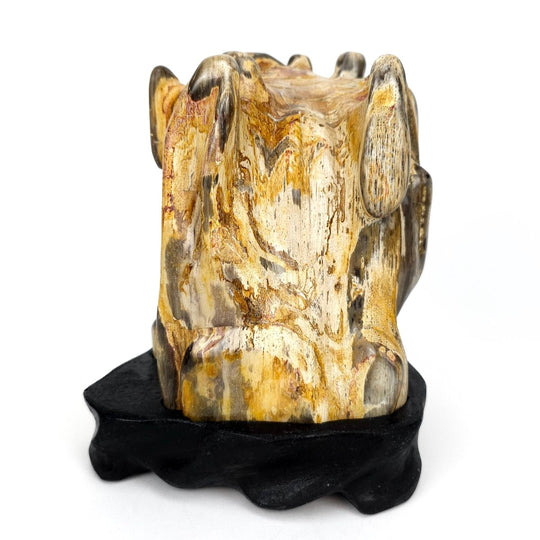 Petrified Wood Log With Red Jasper Large 10 Lbs Polished Fossilized Wood Stone - Earth Perfection