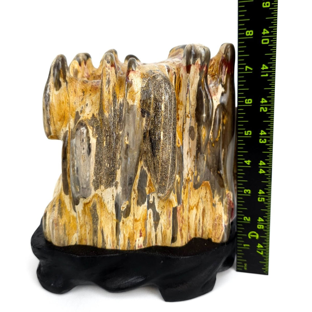 Petrified Wood Log With Red Jasper Large 10 Lbs Polished Fossilized Wood Stone - Earth Perfection