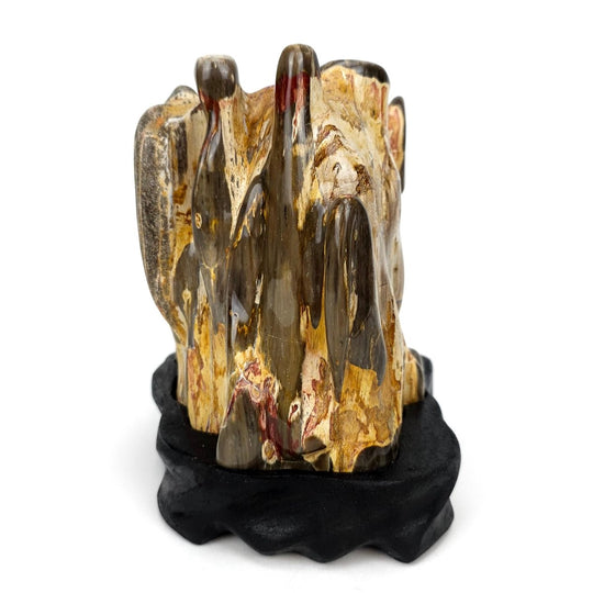 Petrified Wood Log With Red Jasper Large 10 Lbs Polished Fossilized Wood Stone - Earth Perfection