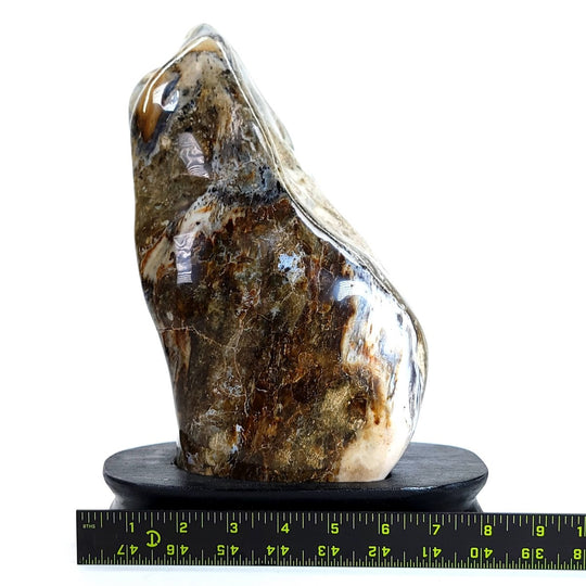 Petrified Wood Sculpture Natural Large Tall Stone Home Decor Fossilized Wood Freeform Carving - Earth Perfection