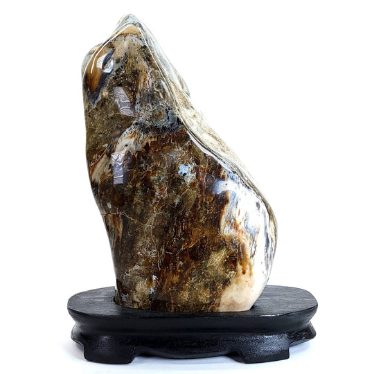Petrified Wood Sculpture Natural Large Tall Stone Home Decor Fossilized Wood Freeform Carving - Earth Perfection