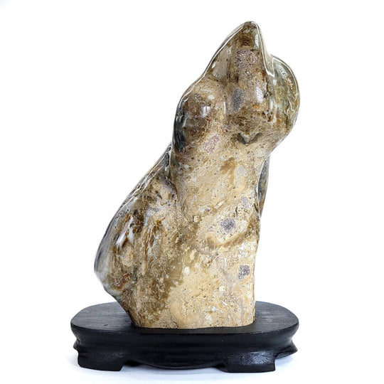 Petrified Wood Sculpture Natural Large Tall Stone Home Decor Fossilized Wood Freeform Carving - Earth Perfection