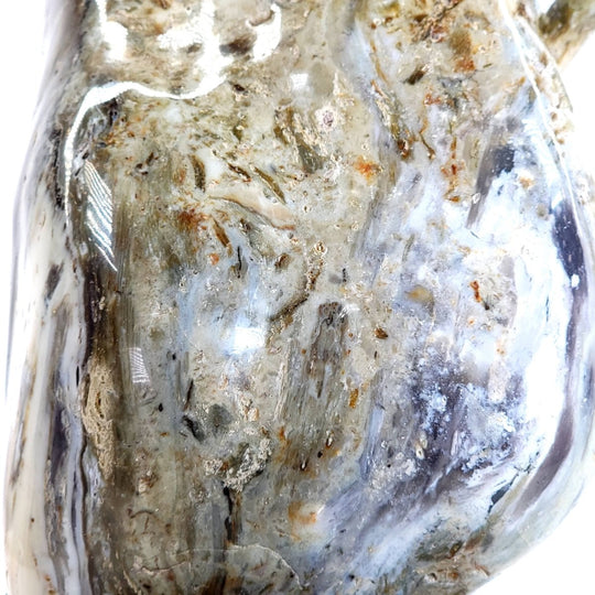 Petrified Wood Sculpture Natural Large Tall Stone Home Decor Fossilized Wood Freeform Carving - Earth Perfection