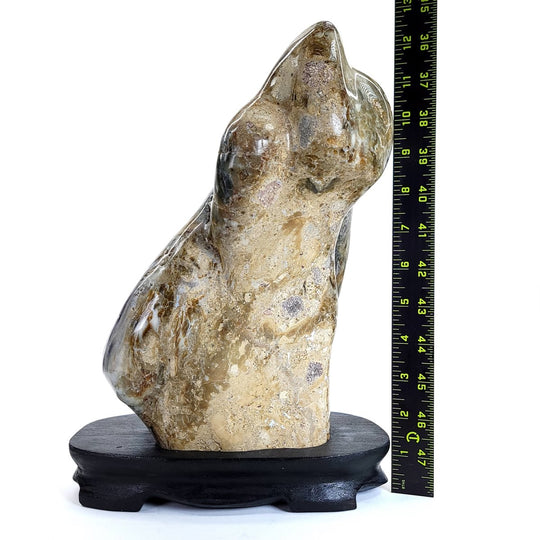 Petrified Wood Sculpture Natural Large Tall Stone Home Decor Fossilized Wood Freeform Carving - Earth Perfection