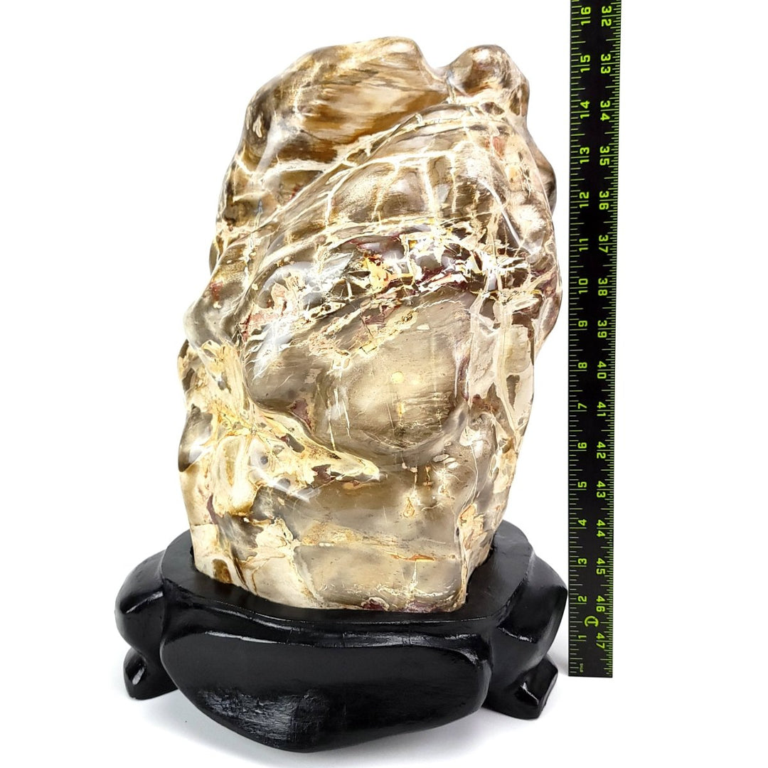 Petrified Wood Stone 52 Lbs Extra Large Fossilized Wood On Stand - Earth Perfection