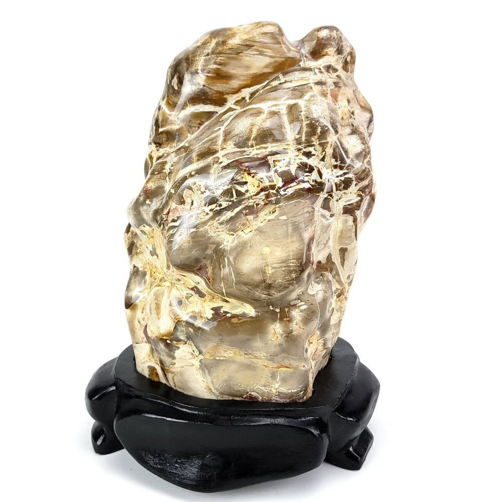 Petrified Wood Stone 52 Lbs Extra Large Fossilized Wood On Stand - Earth Perfection