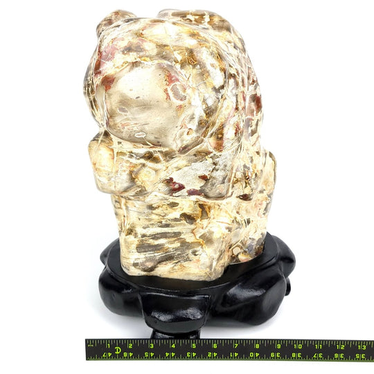 Petrified Wood Stone 52 Lbs Extra Large Fossilized Wood On Stand - Earth Perfection