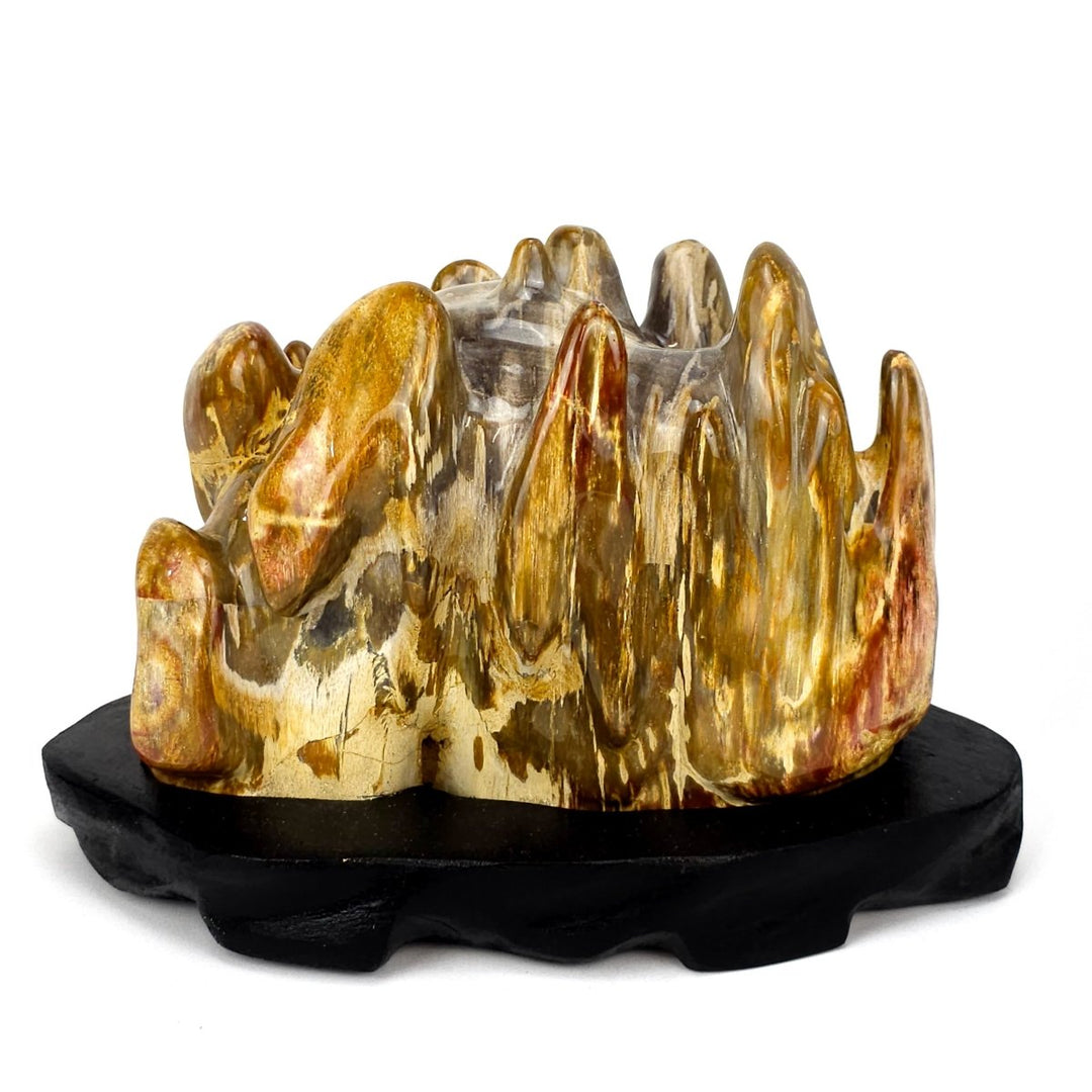 Petrified Wood Stone With Red Jasper Large 18 Lbs Polished Fossilized Wood Home Decor - Earth Perfection