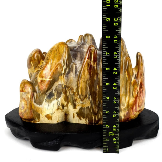 Petrified Wood Stone With Red Jasper Large 18 Lbs Polished Fossilized Wood Home Decor - Earth Perfection