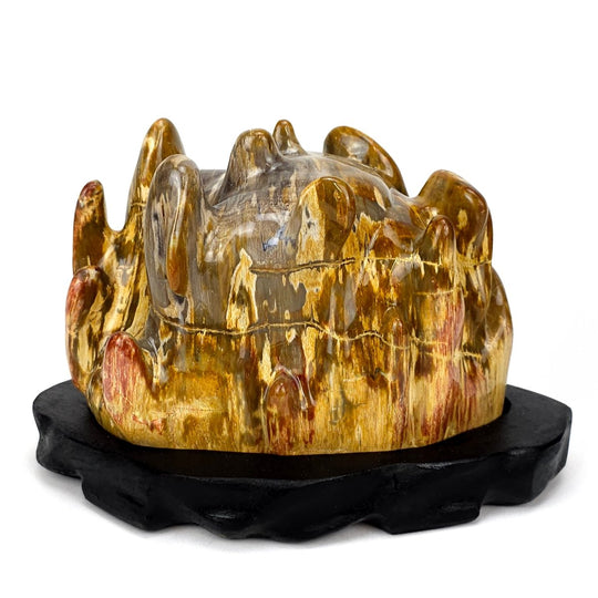 Petrified Wood Stone With Red Jasper Large 18 Lbs Polished Fossilized Wood Home Decor - Earth Perfection