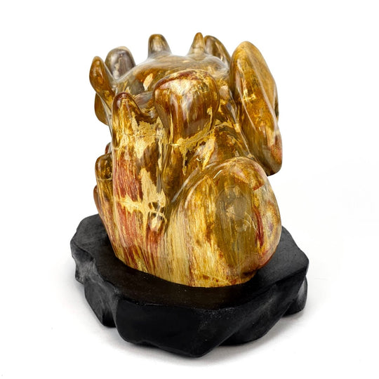 Petrified Wood Stone With Red Jasper Large 18 Lbs Polished Fossilized Wood Home Decor - Earth Perfection