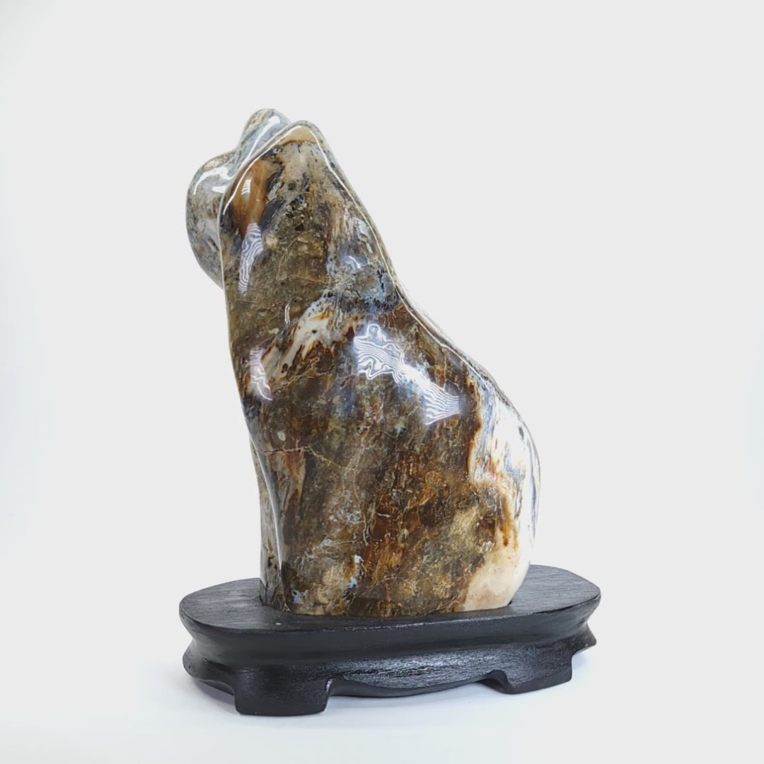 Petrified Wood Sculpture Natural Large Tall Stone Home Decor Fossilized Wood Freeform Carving