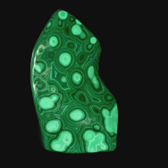 Malachite Stone Large 6" Collector African Polished Crystal Slab Freeform