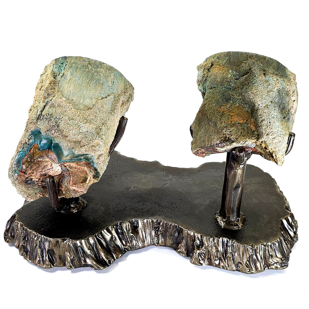 Rainbow Petrified Wood, Rare Natural Sunset Scene, Collector Mineral Specimen, Blue Opal Fossilized Wood Stone - Earth Perfection