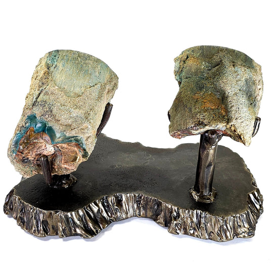 Rainbow Petrified Wood, Rare Natural Sunset Scene, Collector Mineral Specimen, Blue Opal Fossilized Wood Stone - Earth Perfection