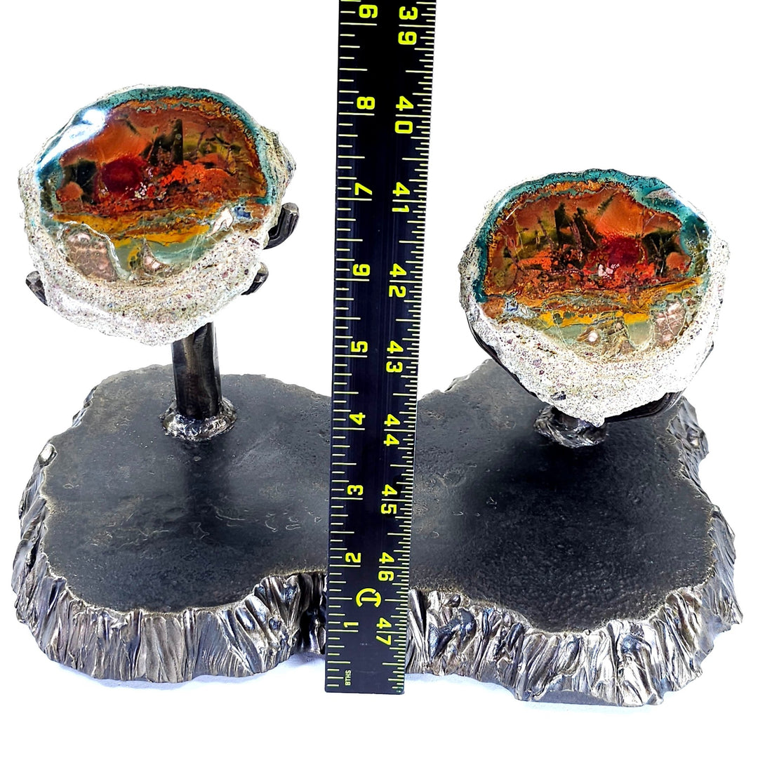 Rainbow Petrified Wood, Rare Natural Sunset Scene, Collector Mineral Specimen, Blue Opal Fossilized Wood Stone - Earth Perfection