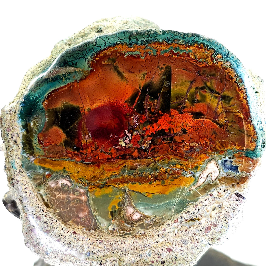 Rainbow Petrified Wood, Rare Natural Sunset Scene, Collector Mineral Specimen, Blue Opal Fossilized Wood Stone - Earth Perfection