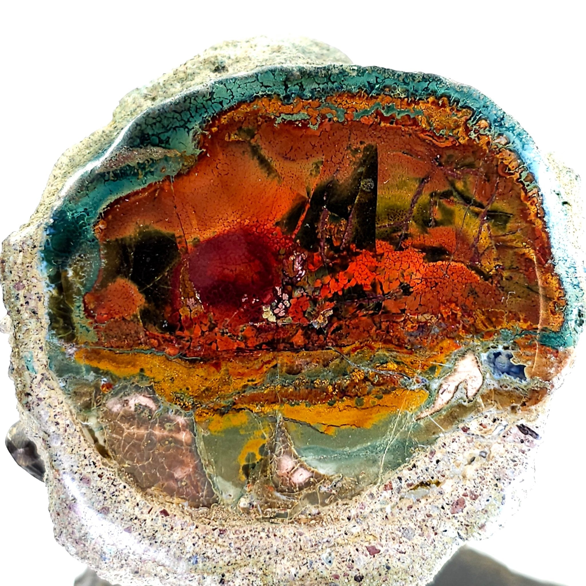 Rainbow Petrified Wood, Rare Natural Sunset Scene, Collector Mineral Specimen, Blue Opal Fossilized Wood Stone - Earth Perfection